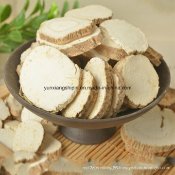 Radix Angelicae, Angelica Root Factory Best Price